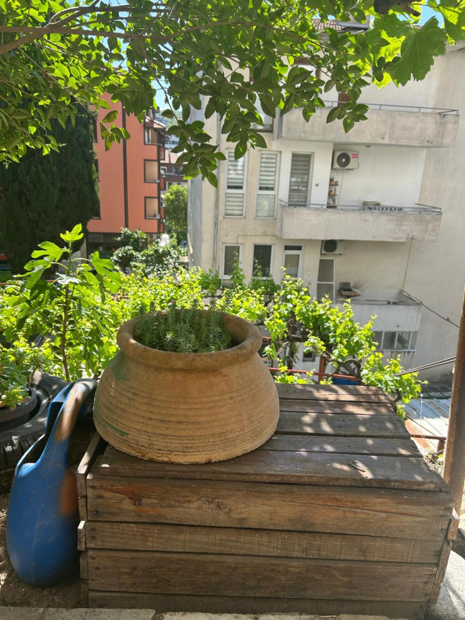 Didi House Apartment Sandanski Ngoại thất bức ảnh