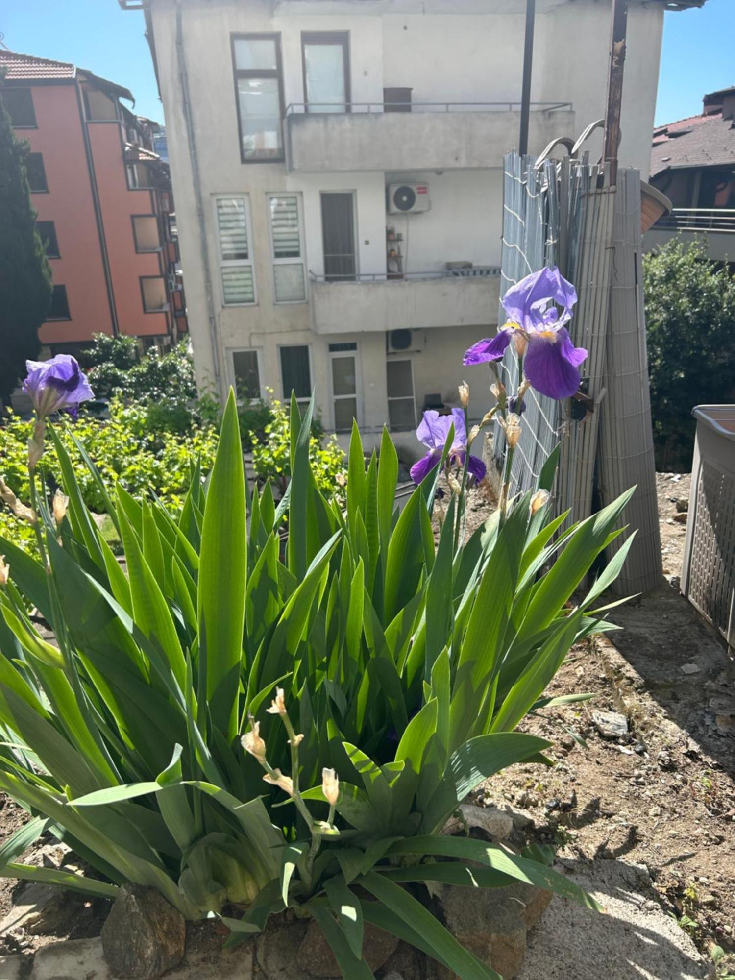 Didi House Apartment Sandanski Ngoại thất bức ảnh